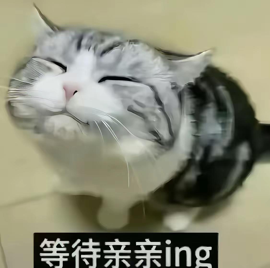 等待亲亲ing…Ovo清纯