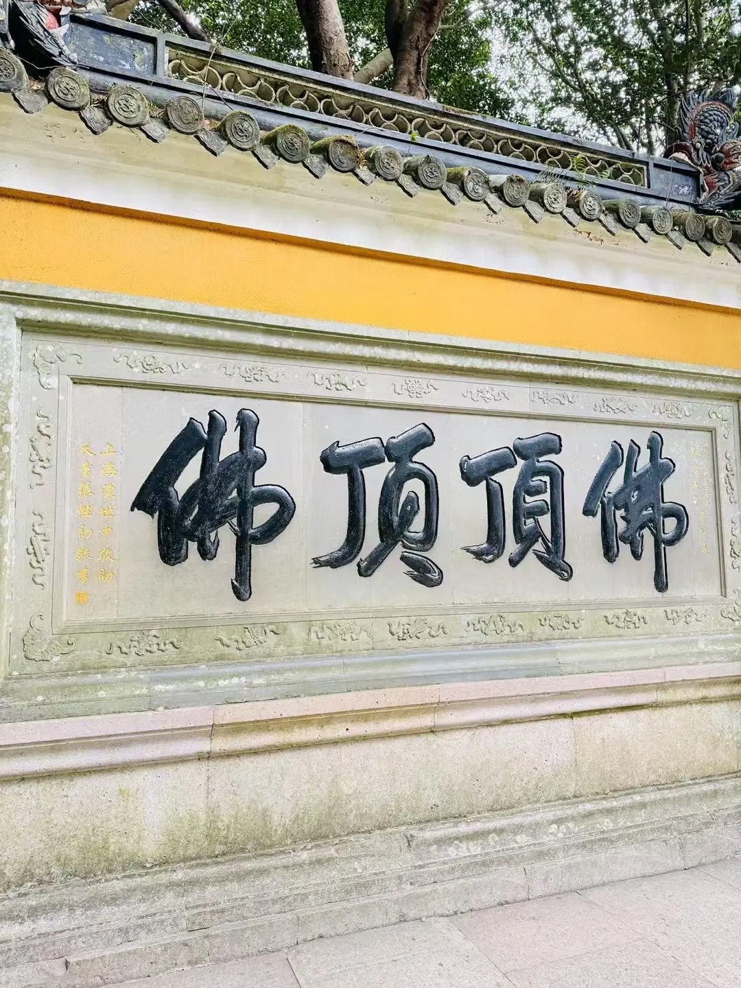 每年来普陀山都是不一样的心境 从第一年的都想求 到第二年的逐渐淡然 再...