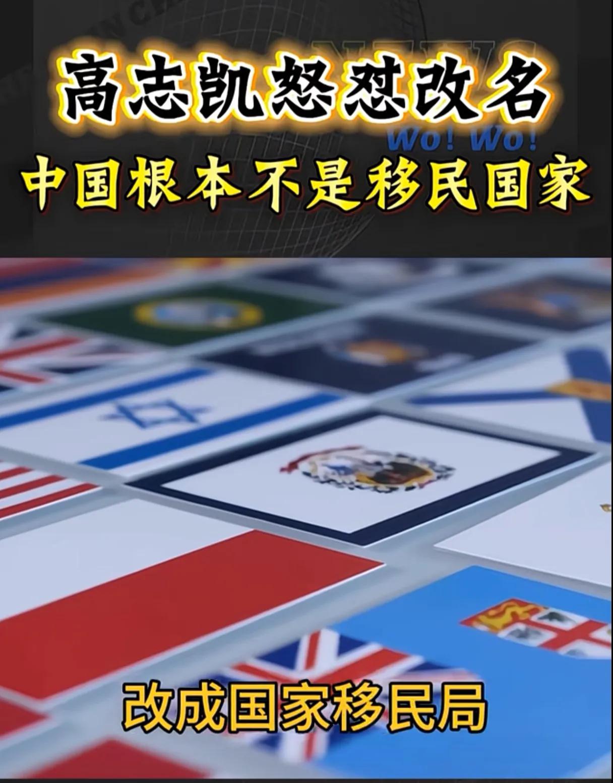 要不人家是大咖呀，看问题就是尖锐。高志凯质疑:中国根本不是移民国家，为什么要把
