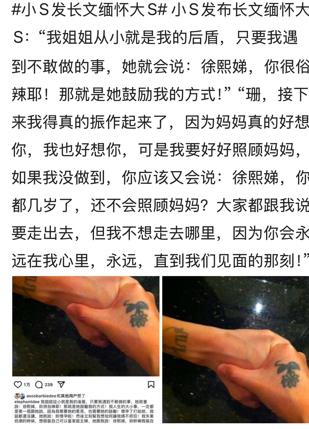 这个口口声声说爱姐姐的小S又岀来发声了。不过真的不知道经历了那么多事情之后，她的