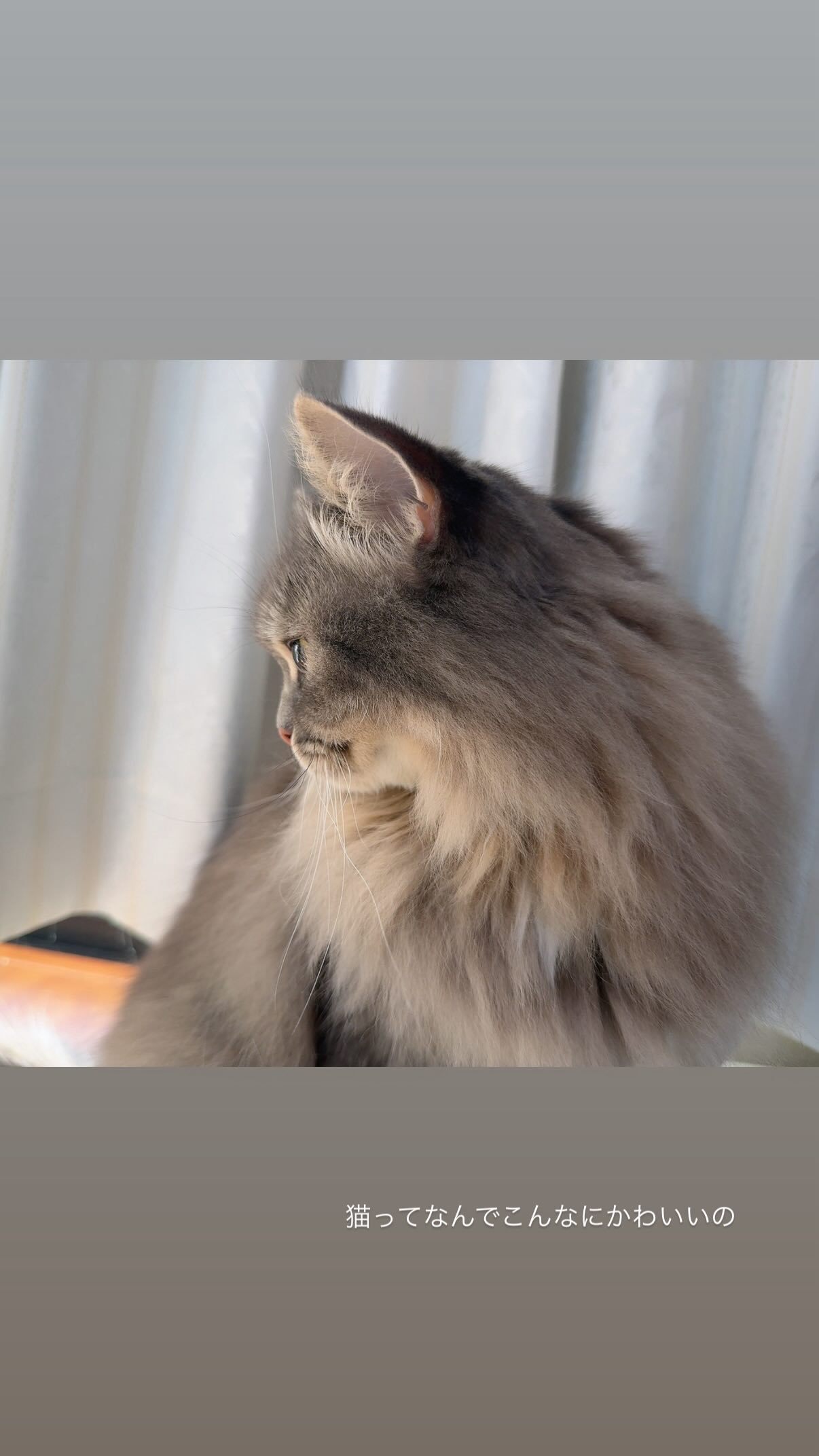 吉田綾乃クリスティー