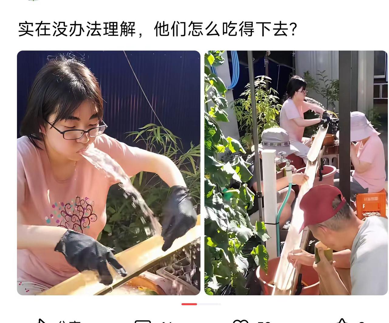 有人觉得新奇，我只觉得反胃！