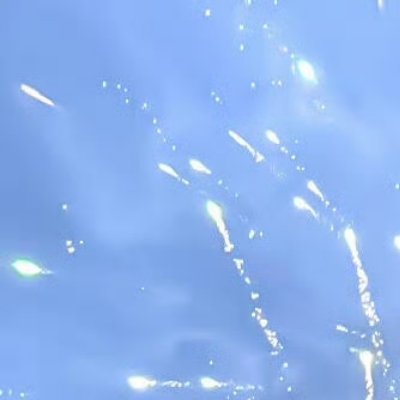 阳光信用🌿阳光信用🌿每日一善播种信念当种子以勇气破土，每一片嫩芽都写满