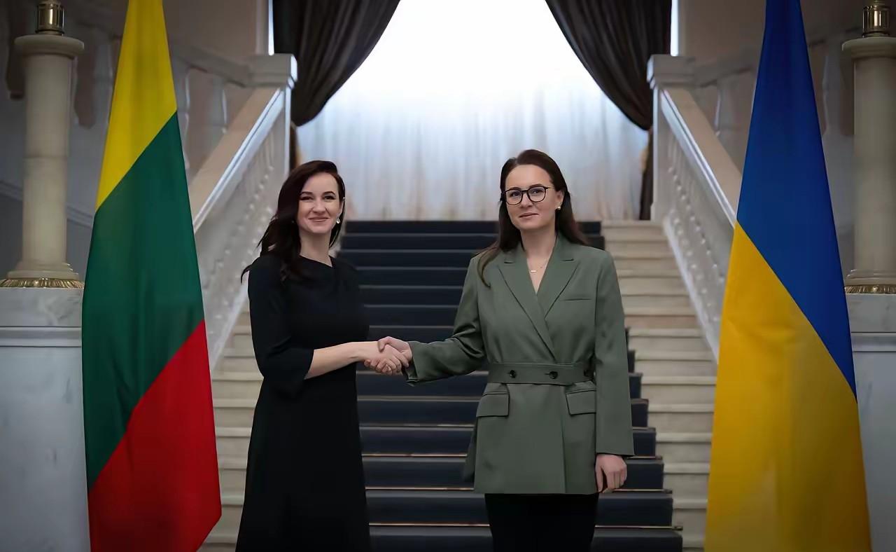 立陶宛新总理鲁吉尼埃内说，之前让台湾当局在首都设“台湾代表处”是错的。她能不能把