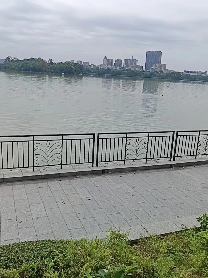 .你敢相信吗？这里就是肇庆的幸福了。有人问我什么习惯可以让令人长生我觉得是移