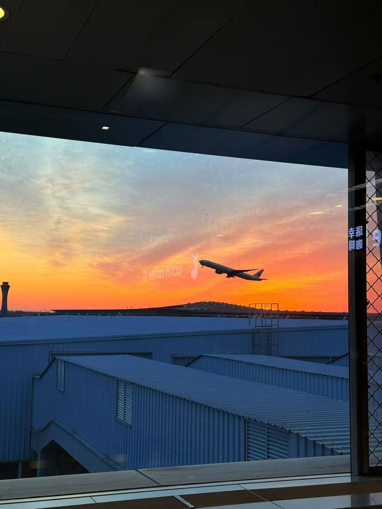 突然想明白一件事，人不是老了才会死，而是随时都会，死亡并不可怕，可怕的是：你从