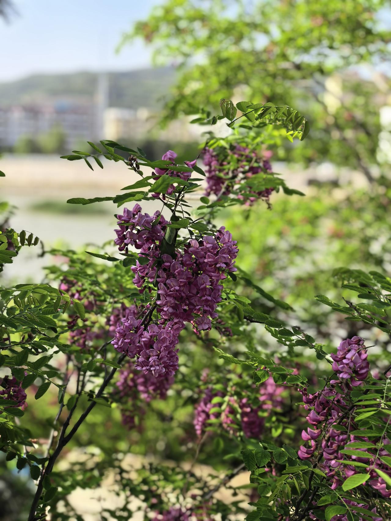 定投基金赚钱没问题，但得长期坚持，慢慢变富。讲讲我的教训。我曾经定投过一
