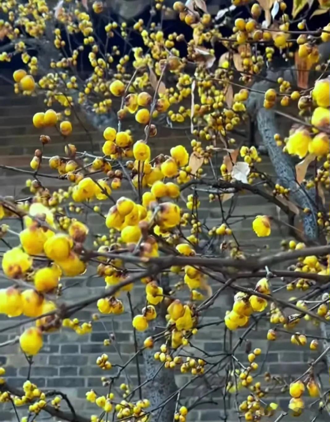 老同事两口子都60多岁了，都还在上班，老同事在公立学校退休了，属于返聘，返聘工资