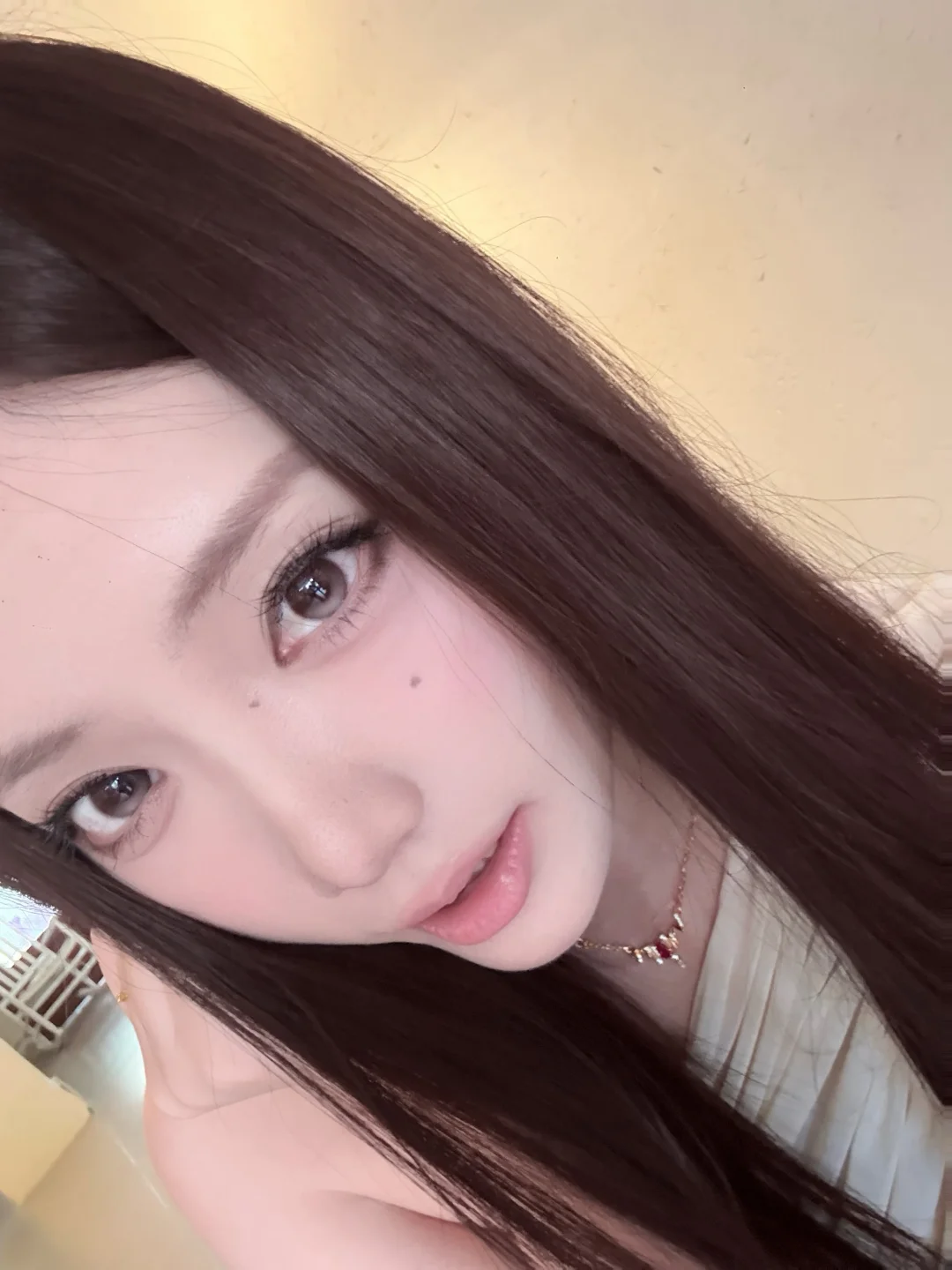 小猫来的🐱