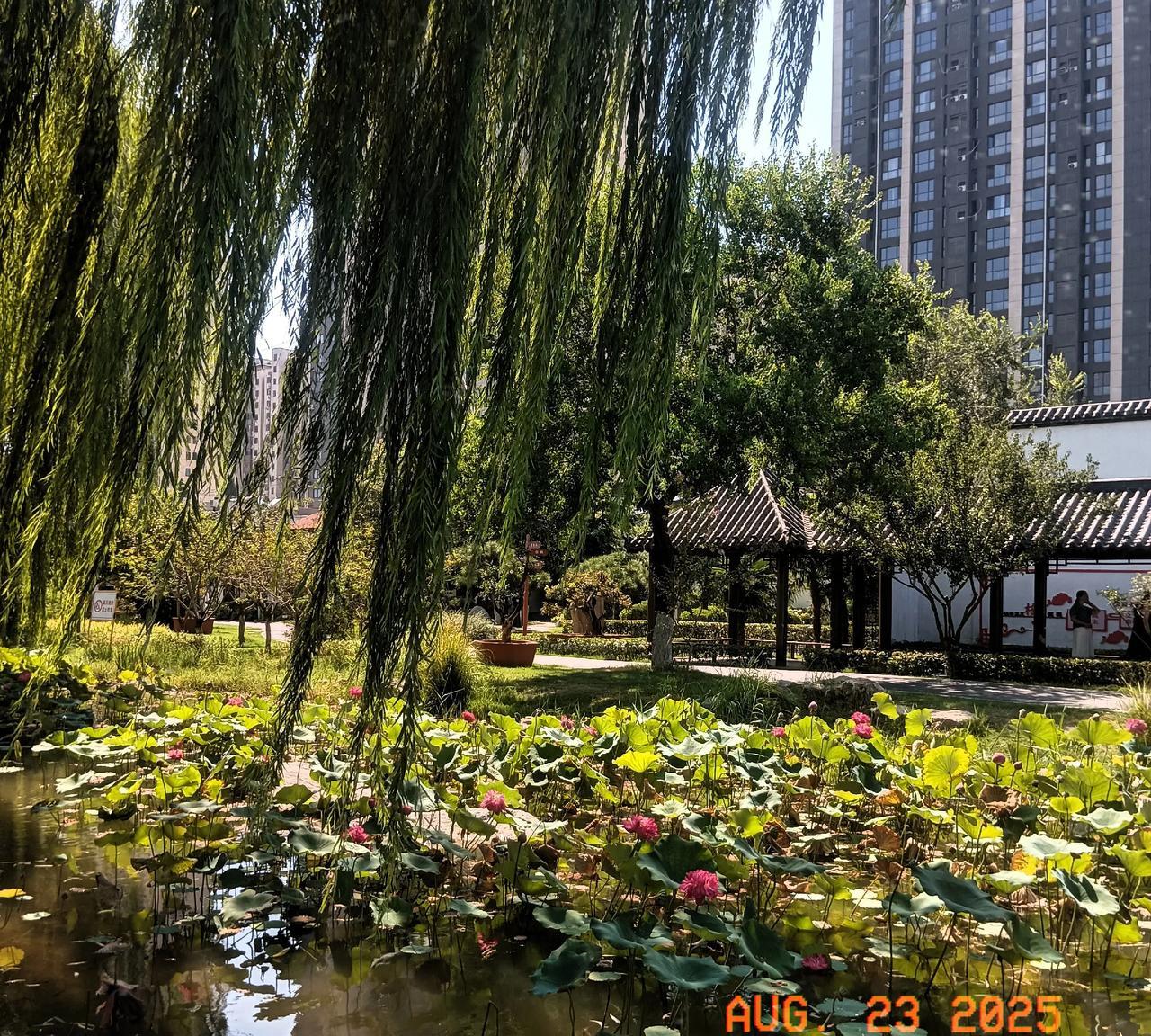 问你们个有意思的问题，你们都是咋开空调的？今天和同事们聊起这个问题，竟然发
