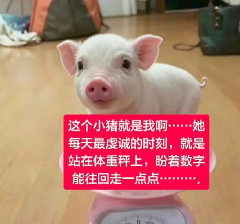 铿概念