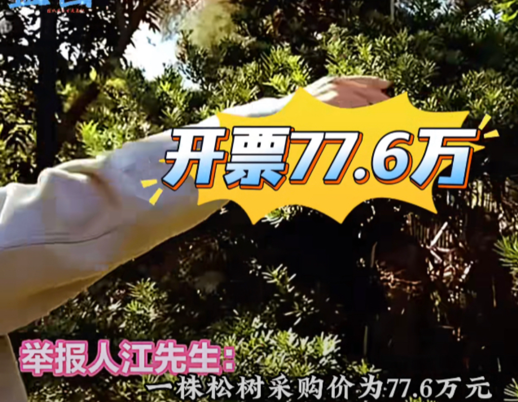 这腐败到什么程度？福州“天价树”事件并非发生在天台山公园，而是仓山区烟台山公园