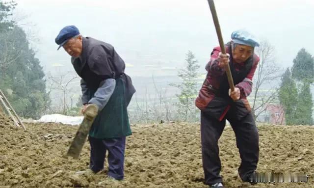 农民工越多，种地的农民就越少。而且现在在农村，会种地的农民，现在都五六十岁了，有