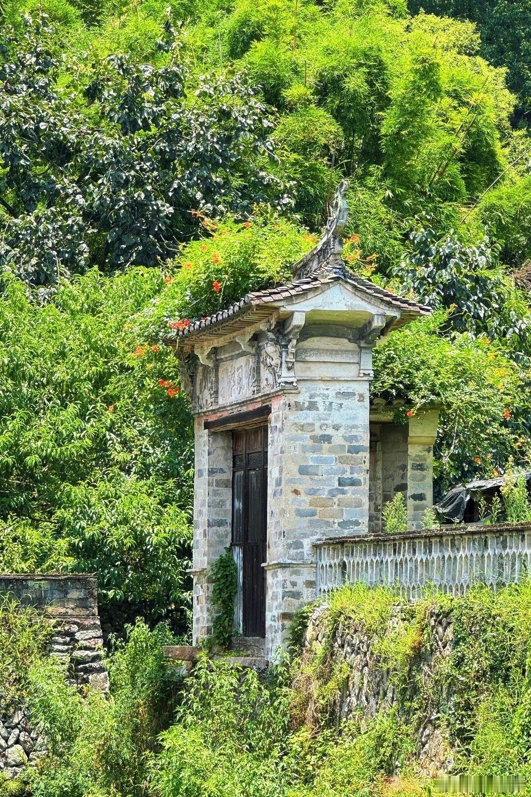 青山叠翠，草木漫过石砌门楼，旧门静默，独守山间悠悠时光。​​​