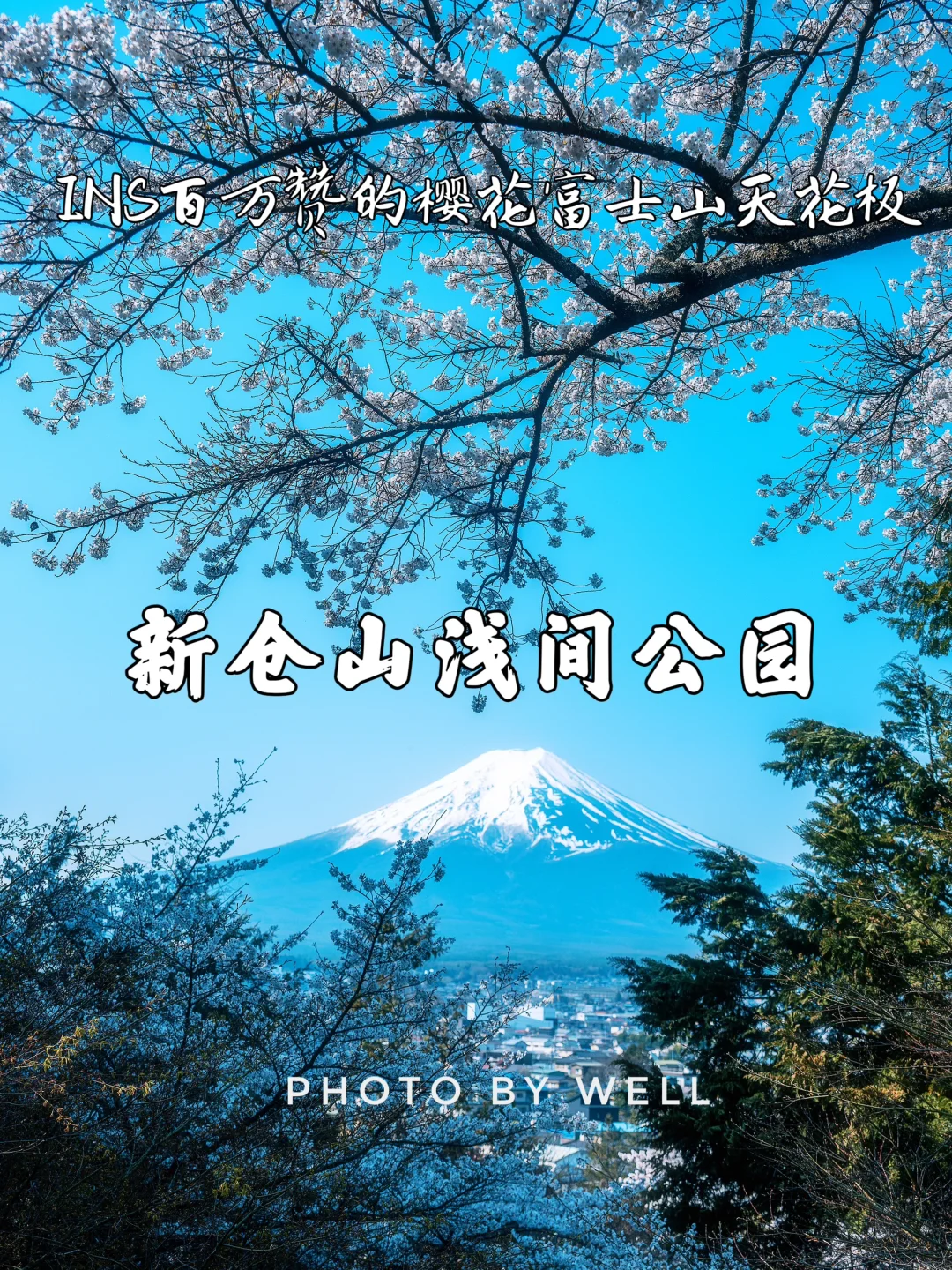 新仓山浅间公园——百万赞的樱花富士山天花板