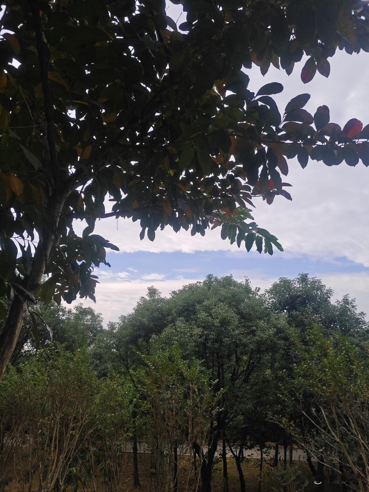 最苦的十大职业苦在哪里？01.医生护士---通宵达旦02.媒体记者---