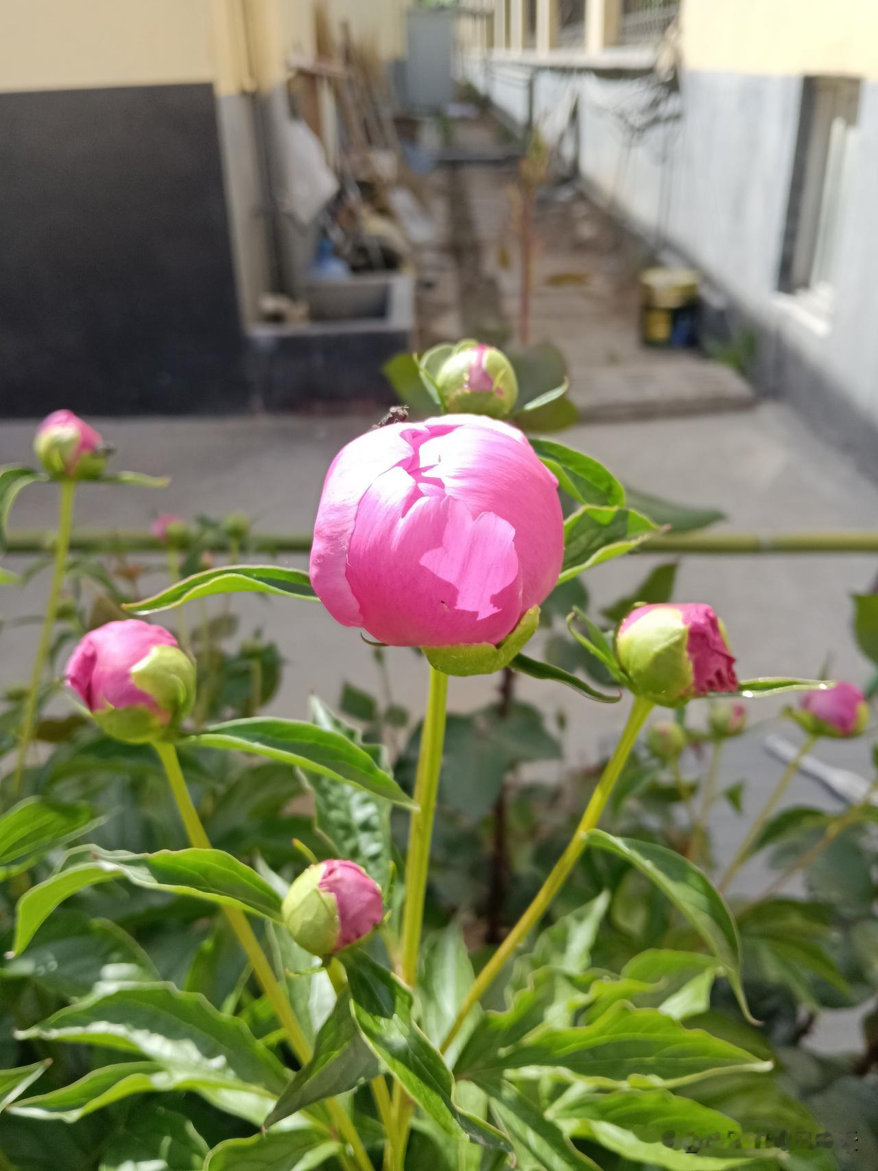 晚年最佳的活法，需做到以下二十一点：断个彻底。断掉无用的饭局，断掉爱攀比的老