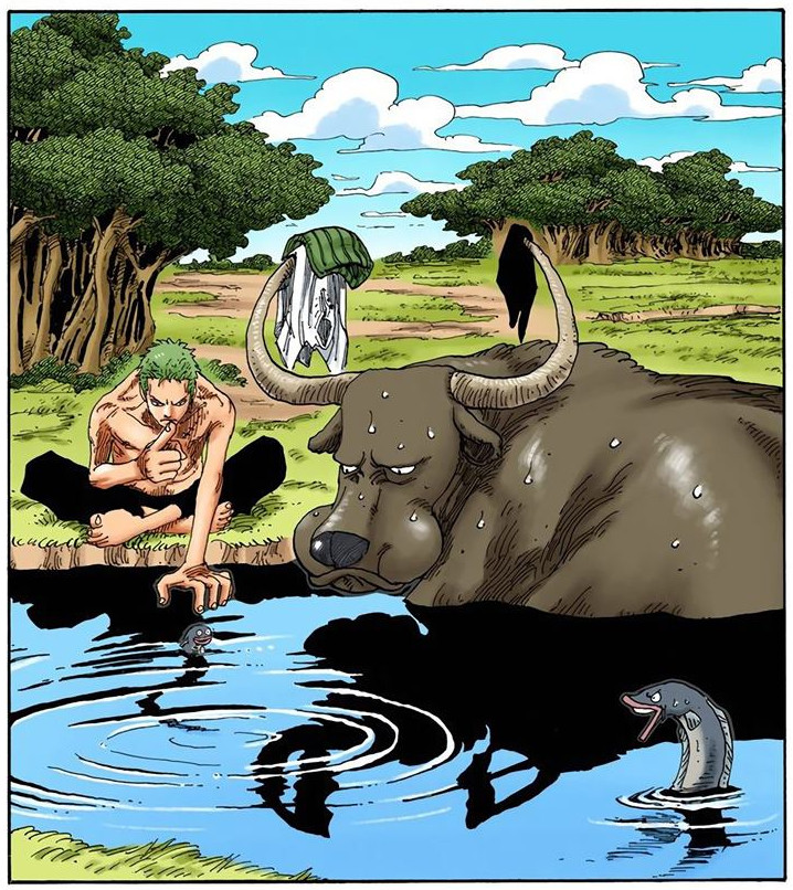 海贼王海贼王索隆的日常...