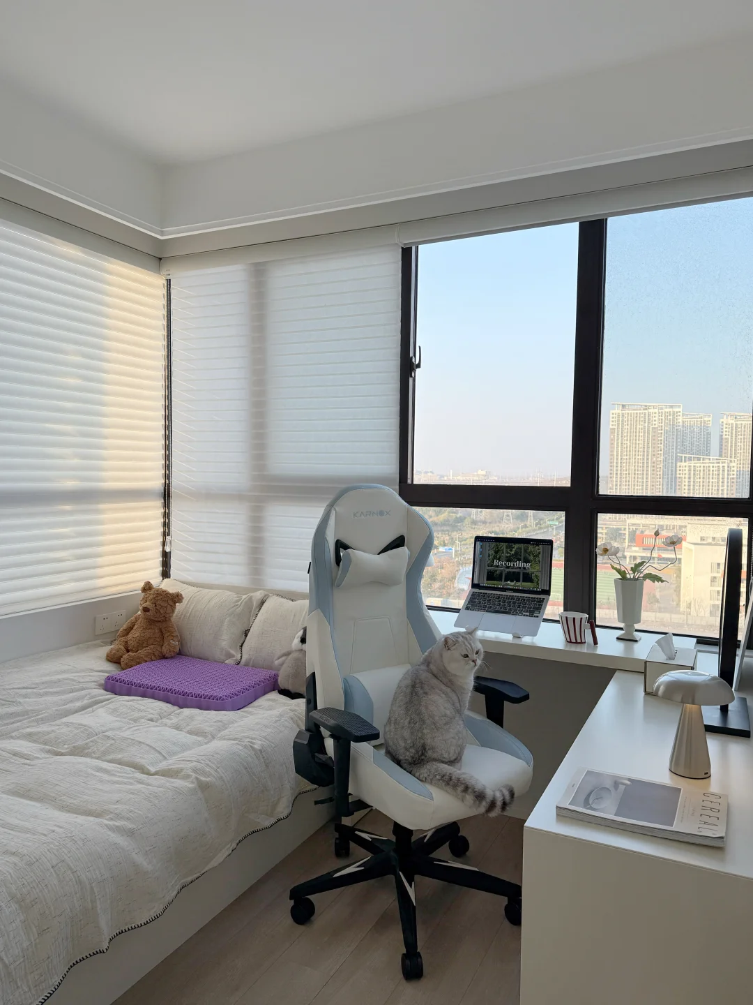 9m²小卧室｜一人一猫🐈宅家好舒服😌～