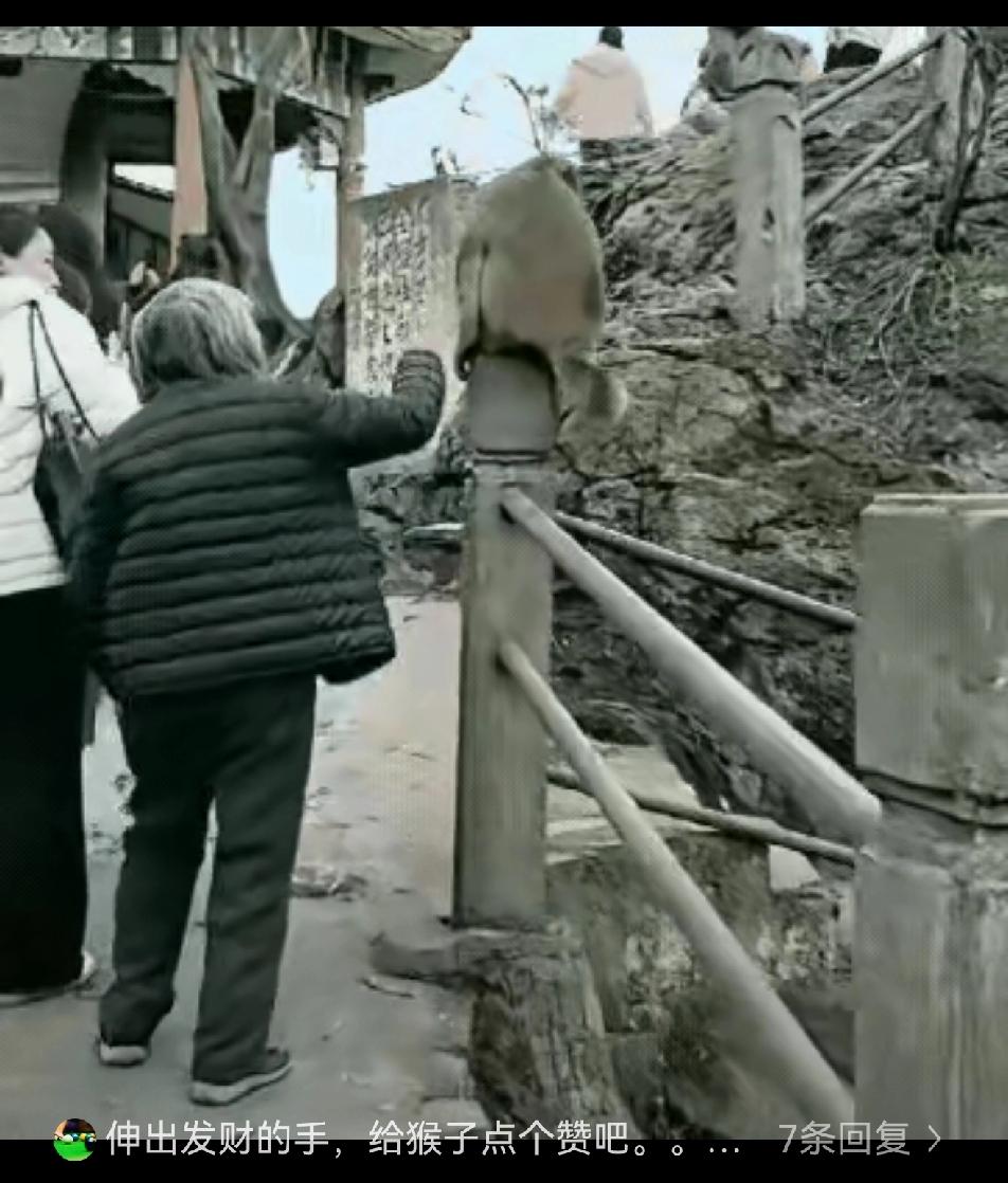 这老太太也太爱惹事了吧！都这么大年纪了，怎么就不知道稳重一点呢？视频里看