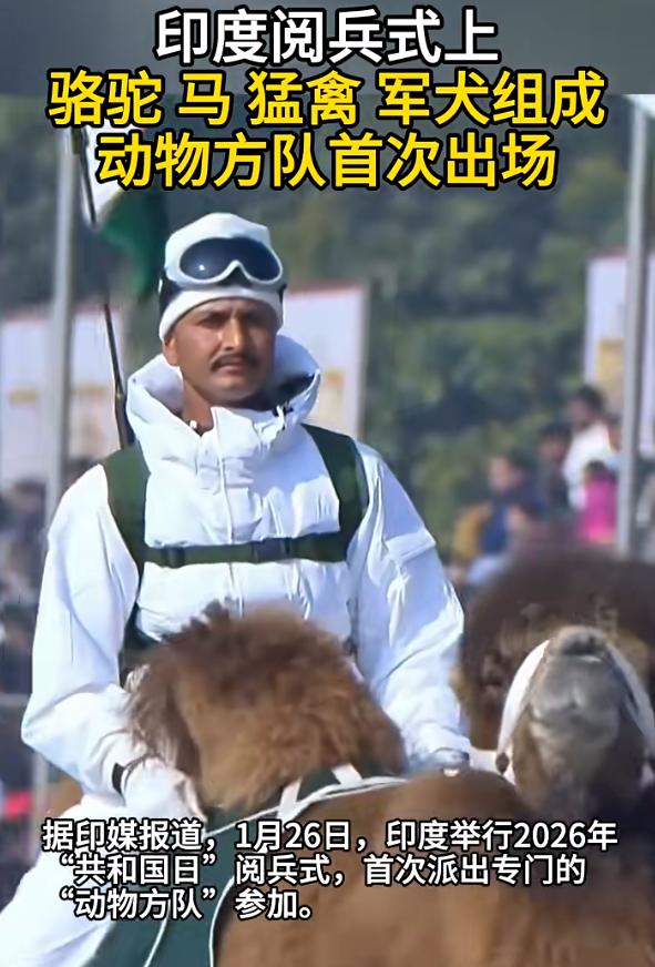 只有想不到，没有印度做不出的荒唐事！1月26日外媒爆料，印度最新阅兵式竟首次亮