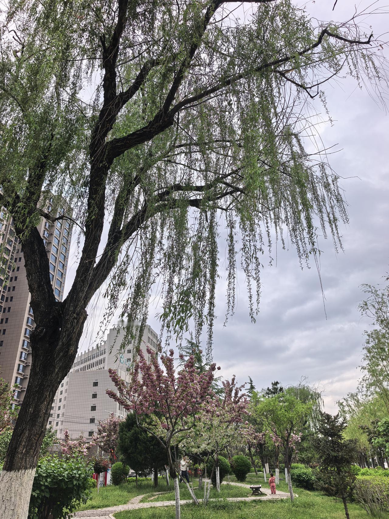 朋友定投了中证500指数基金，收益25%，是走还是留？朋友几年前定投了中证5