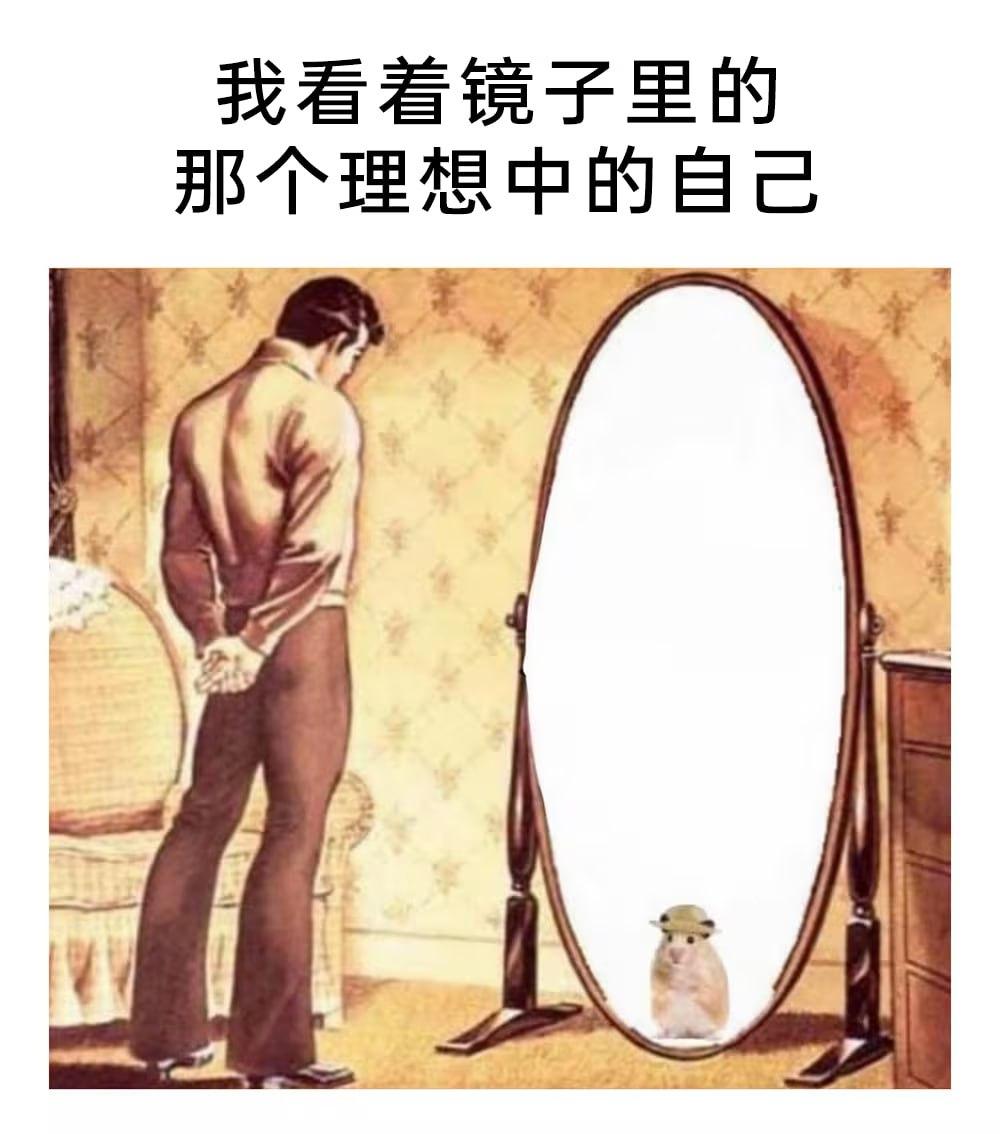 我看着镜子里的那个理想中的自己