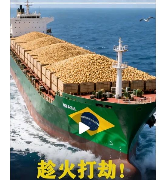 巴西大豆坐地起价高出美国,这趁火打劫啊,中方给上了一课!要不是巴西太贪心坐地起