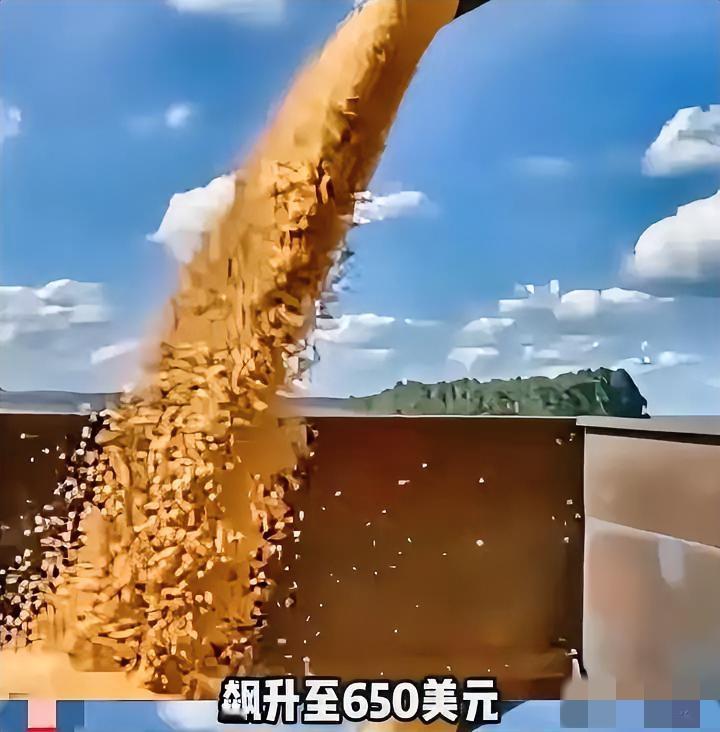 破解巴西大豆涨价我们只用了一招不跟他们掰扯谈判细节不搞那些虚头巴脑的套