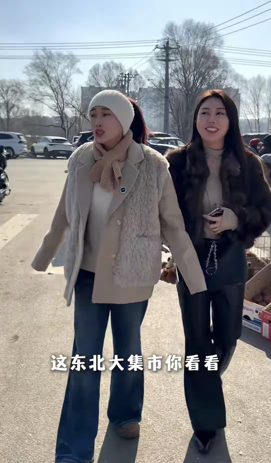 杜若溪带上海婆婆赶大集，严屹宽全程当苦力驮东西，小狗10元一只