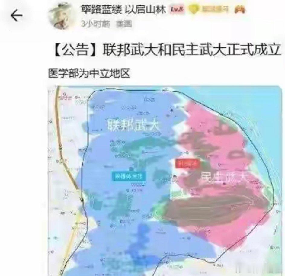 武大理工生再也受不了武大文科生了，他们呼吁武大分治，分别建立联邦武大和民主武大