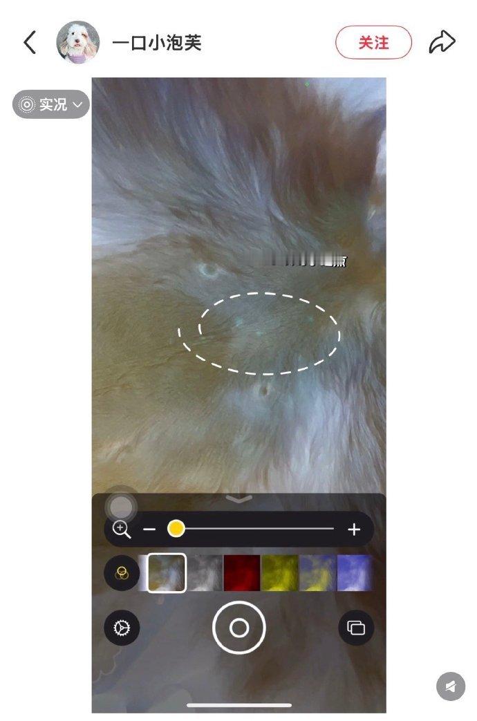 iPhone检查虫子原来是利用放大镜里的滤镜效果，家里有狗狗的可以试一下🐛