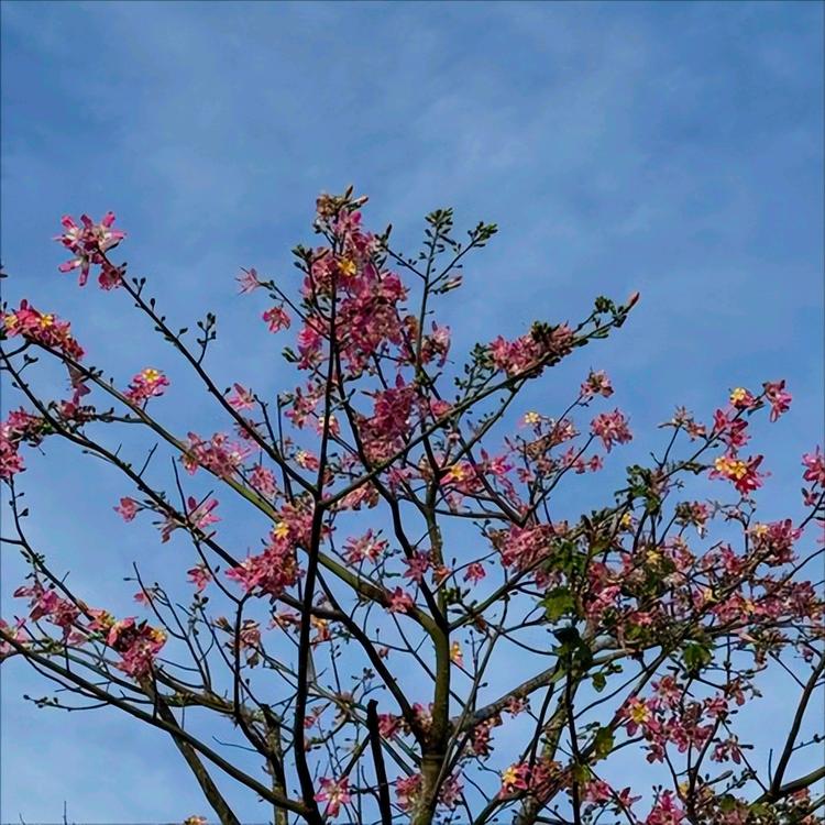 11月28日  中央政治局会议传递出3个重要信号 一是二十届中央第五、第六