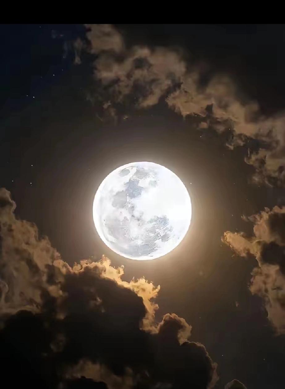 爸妈，中午11点我到站哈，你们来接我。”“累死我了，我可不去奶奶家过节，你们俩