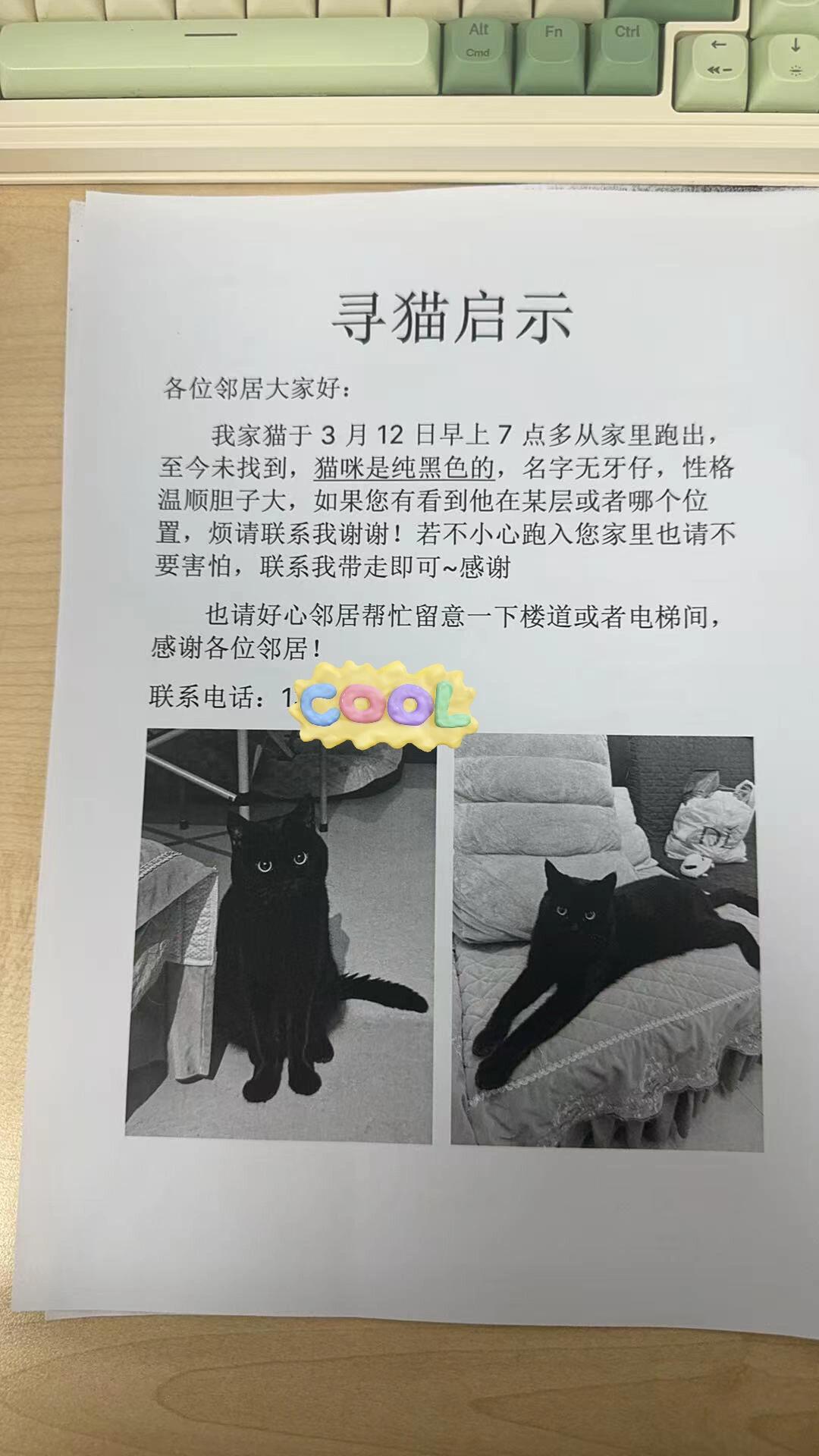 黑猫是省钱哈……寻猫启事打黑白的都可以了……​​​