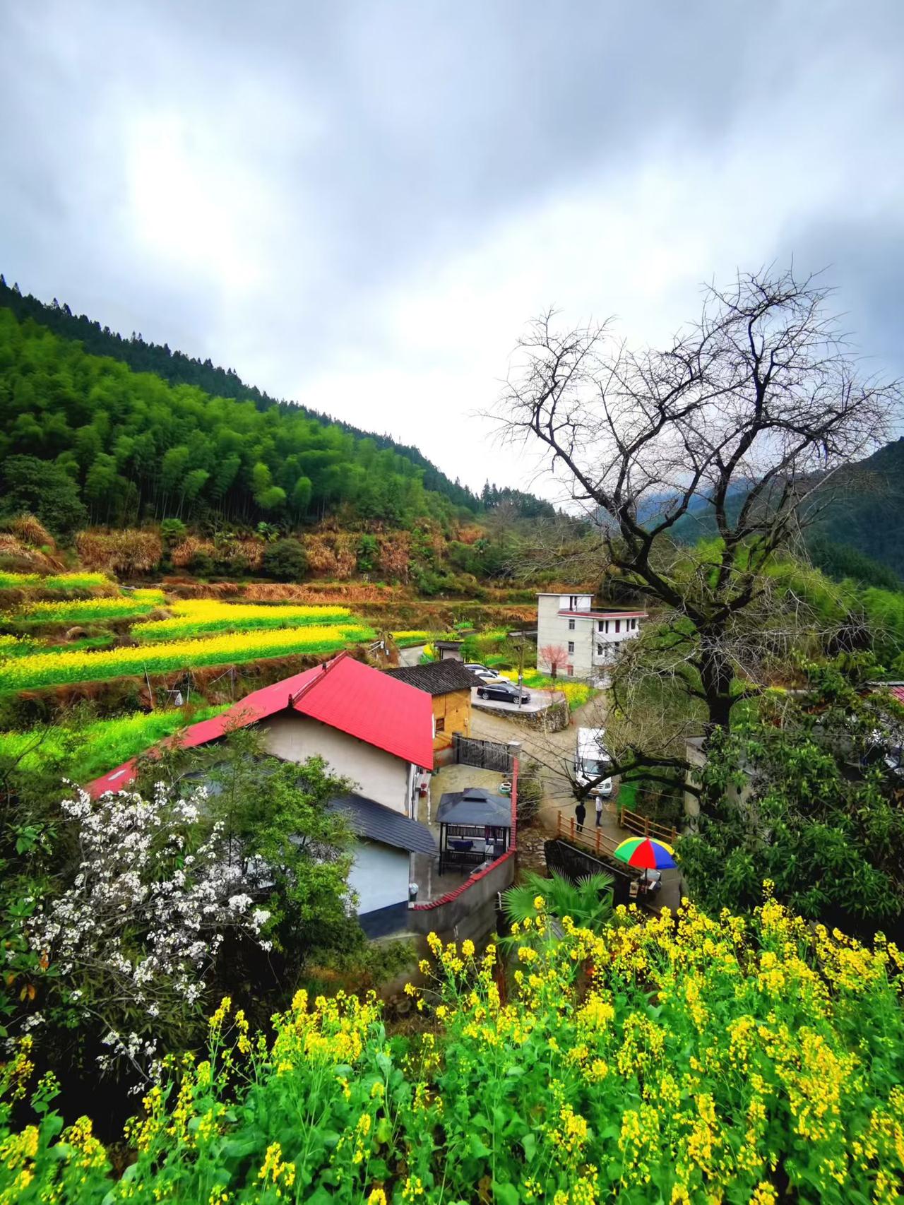 有没有好看的风景图片分享