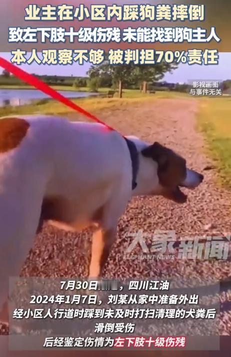 “真走狗屎运了！”四川江油，一业主早上出门散步，不料一脚踩到狗屎摔倒了，事后医院