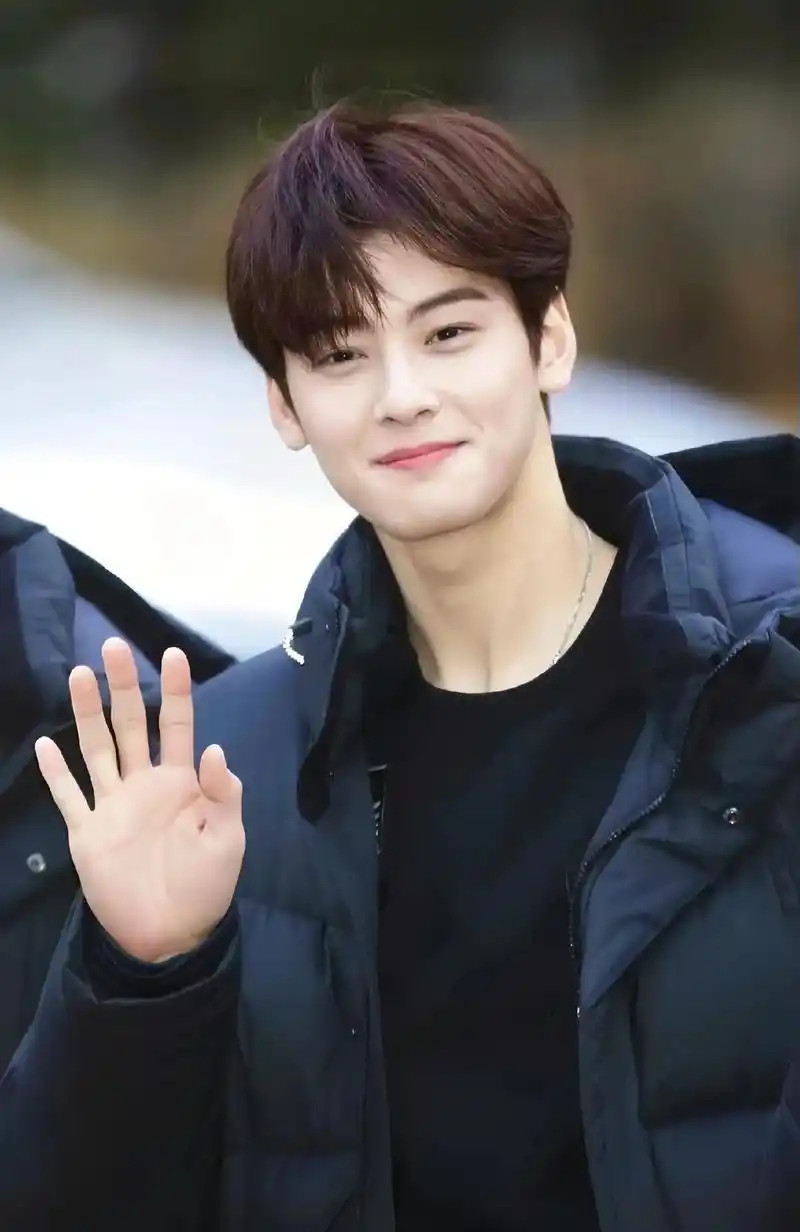 车银优回应涉嫌逃税据韩媒，车银优去年春天因涉嫌逃税，接受了国税厅的高强度调查。