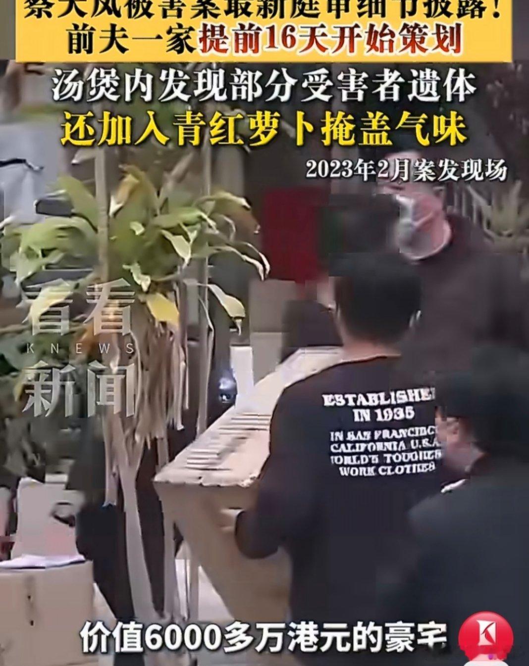 法医确认煲汤内有蔡天凤身体组织控方披露香港名媛蔡天凤前夫邝港智、前夫哥哥邝港杰和前公公邝球三香港名媛