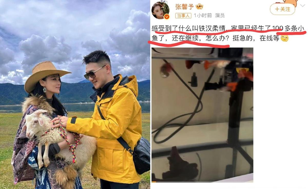 何捷蹲地上给鱼接生，张馨予拍下来发微博，评论区炸了。不是作秀，是过日子。军人