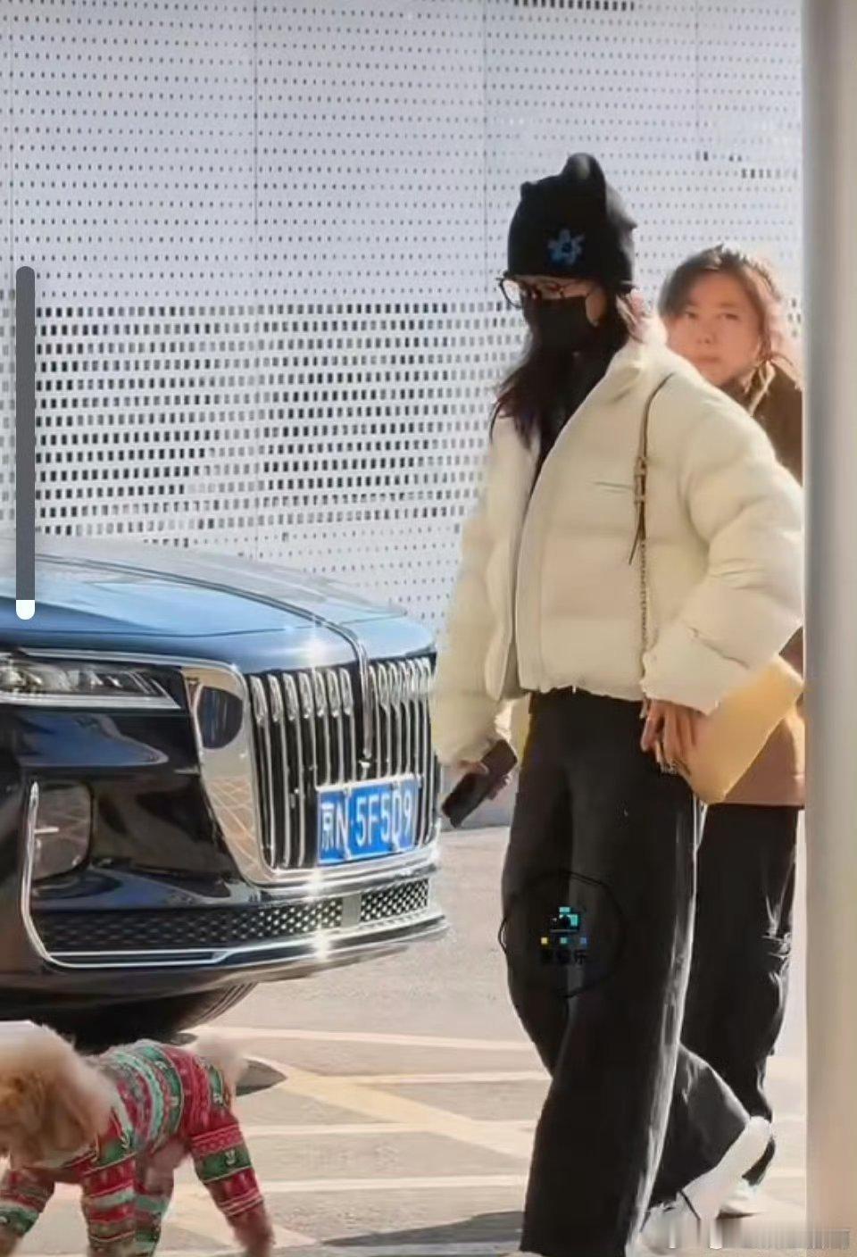 杨紫带着piupiu一起现身北京机场，即将进组《玉兰花开君再来》期待董竹君啦！