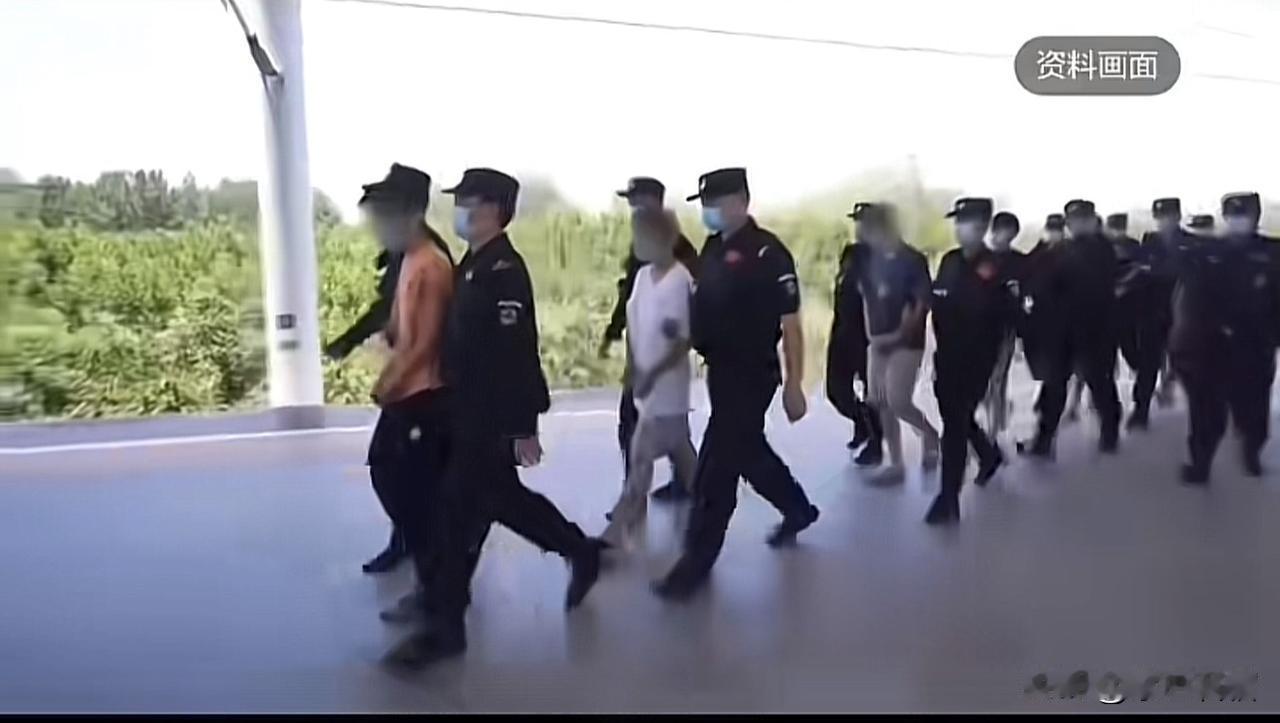 看新闻了吗？这犯罪团伙简直无法无天！近日，江苏常州警方侦破一