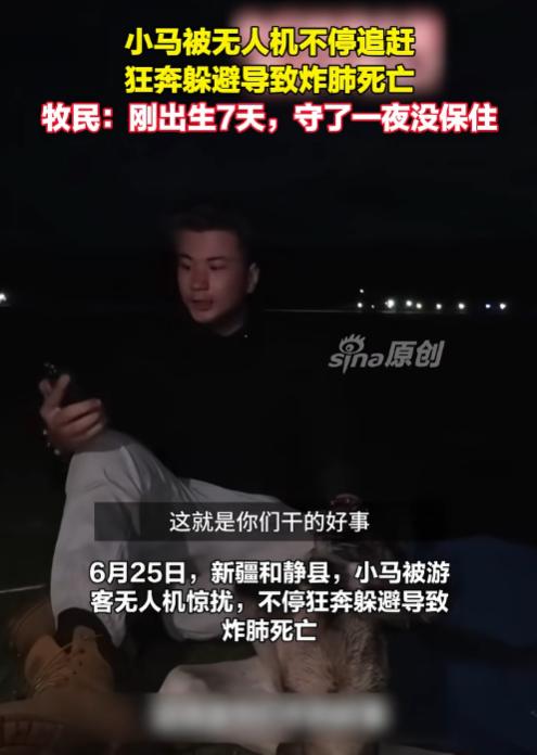 太缺德了！6月27日报道，新疆和静县，牧民家一匹刚出生才7天的小马驹，被游客的无