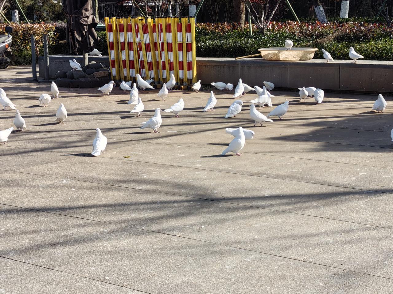 美貌不过皮上花，三日新鲜就变卦。聪明才是聚宝盆，脑袋一转金满盆。1. 烽