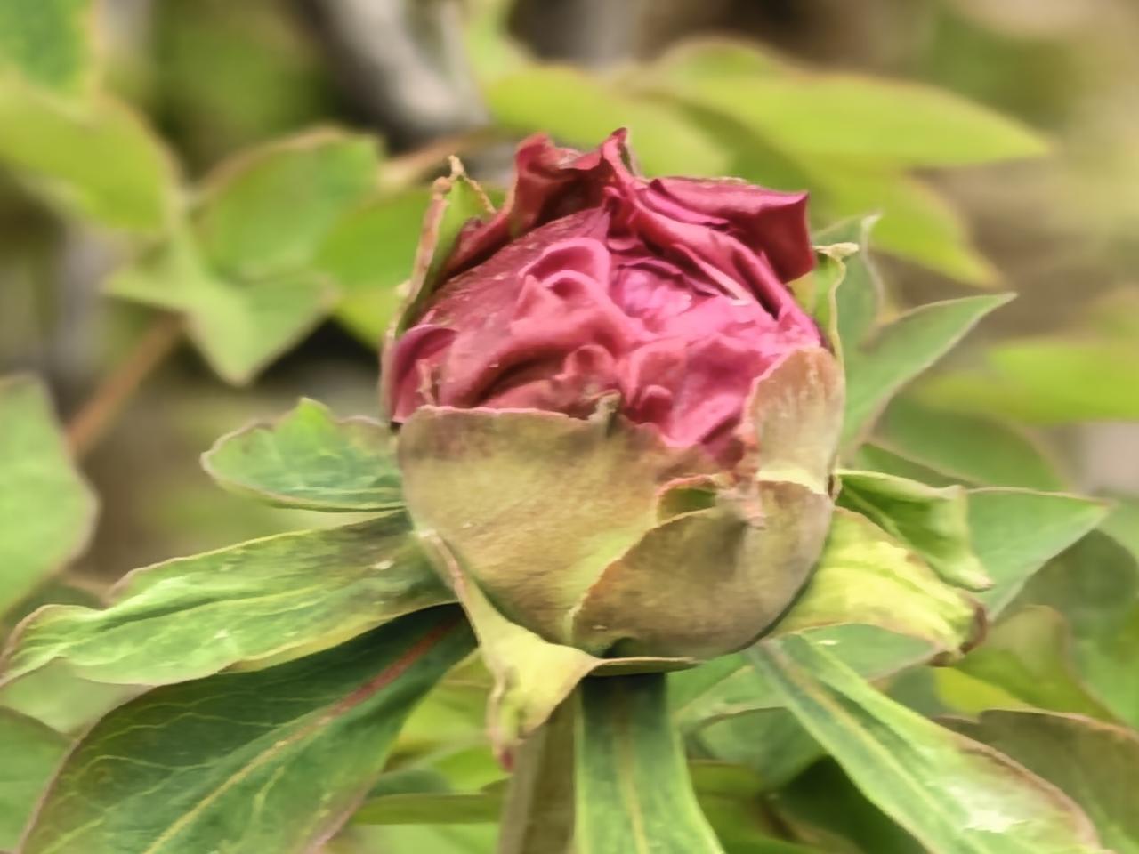 老年同居不领证，搭伙过日子有多香？68岁阿姨：比请保姆省心100倍人到晚年