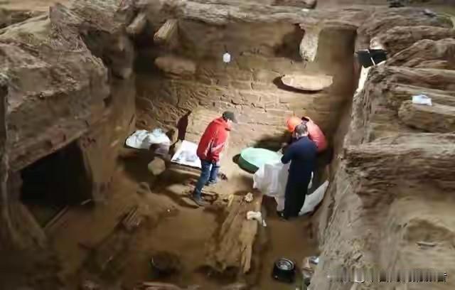 青海都兰那片草场，2017年冬天来了一伙人。领头的是个山东老板姓孙，出钱的，他雇