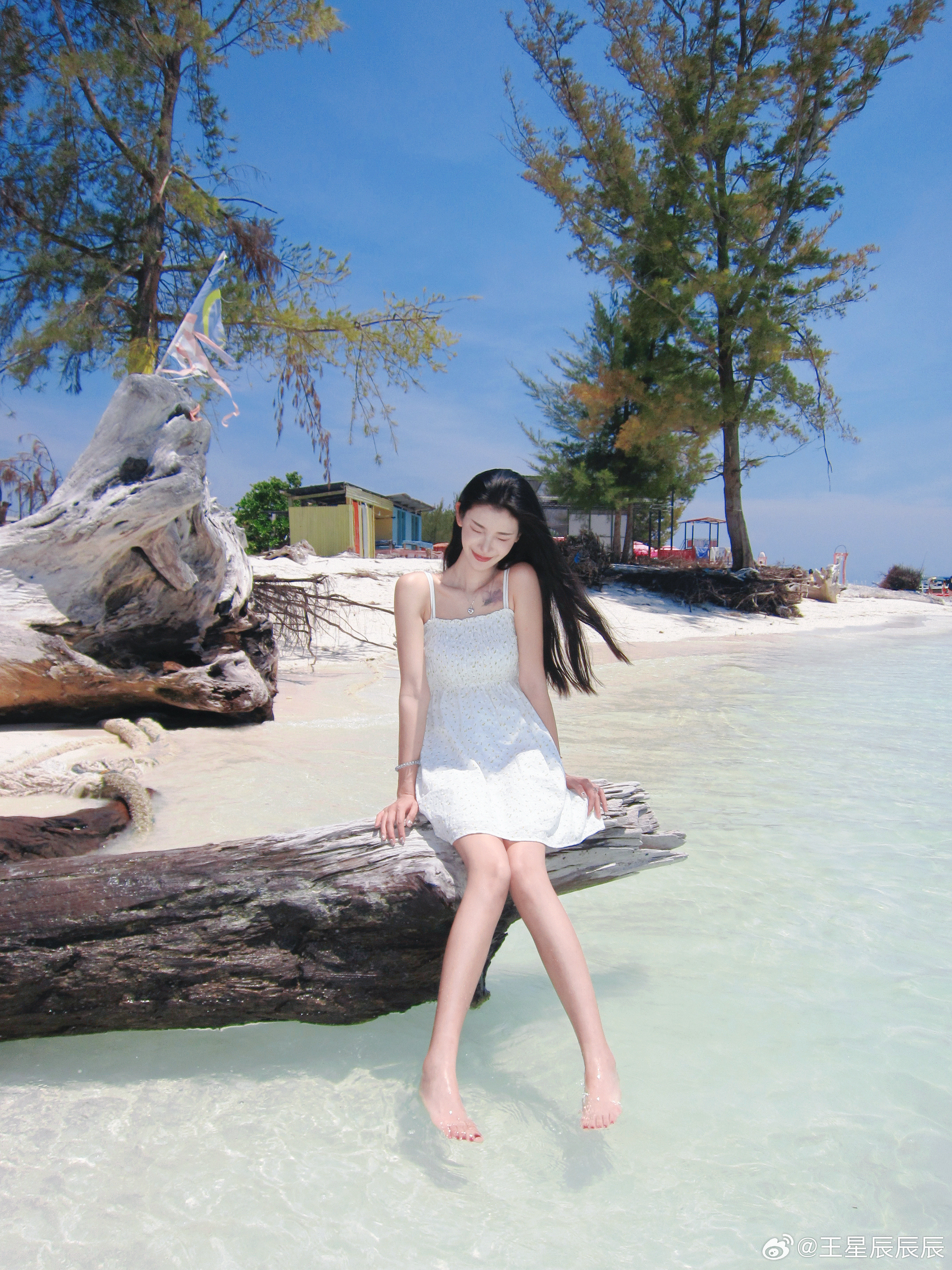 👠王星辰浩浩妈《完蛋！我被美女包围了！》游戏角色林乐清