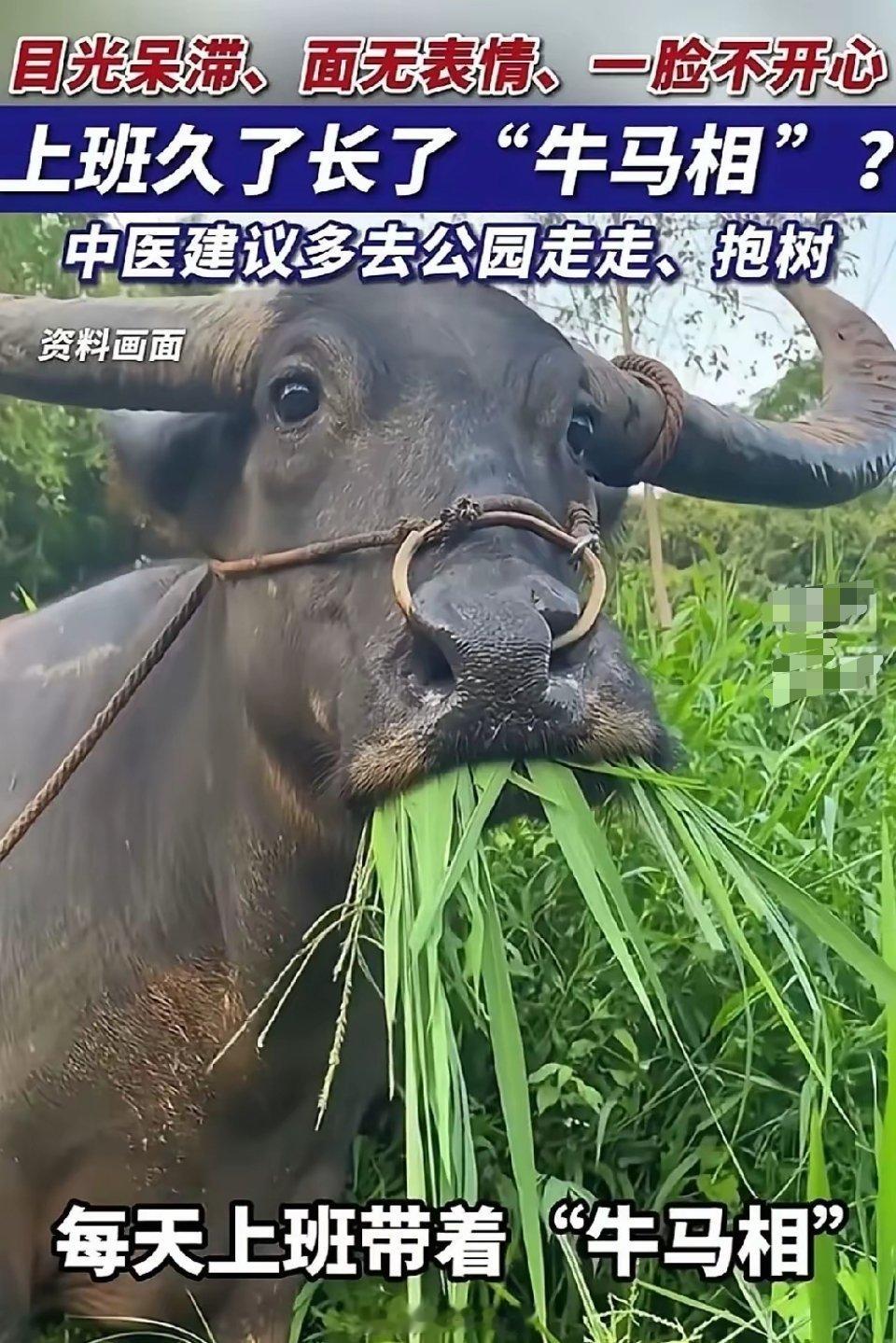 长鑫一季赚200亿、上半年预盈600亿，长江存储单季狂揽333亿，俩巨头赚到手软