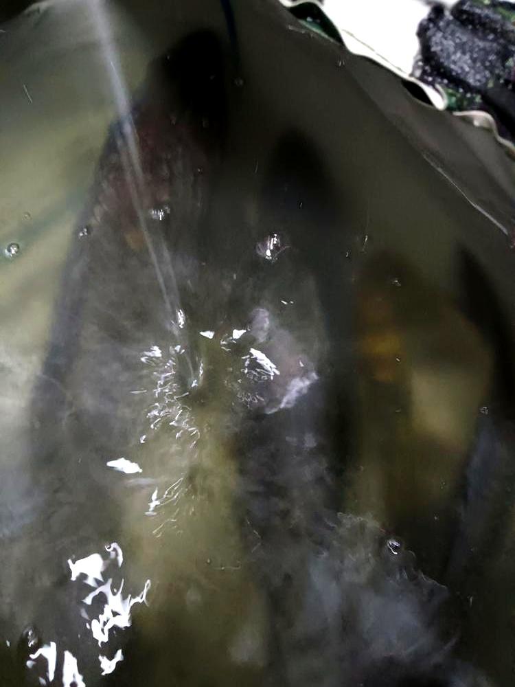 冬钓何时有鱼口，告诉大家，还真不知道。他听鱼老板娘的话，天不亮就守着，结