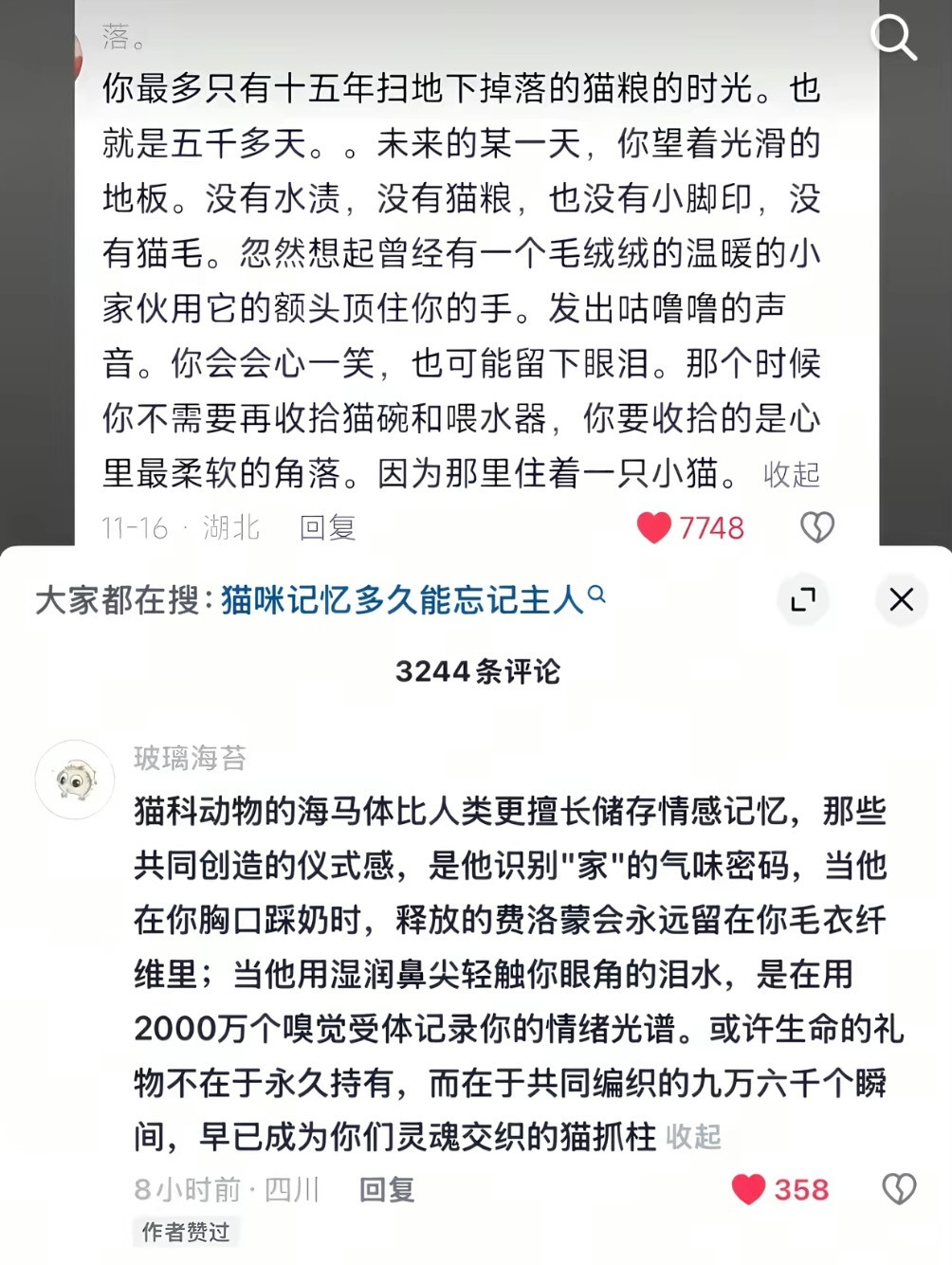 失去你是一件连想想都要掉眼泪的事😭